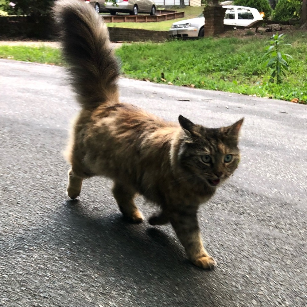 Meet your Posher, Clara